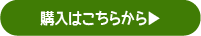 こんぶ塩アイス